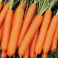 Морковь Нарбонне F1